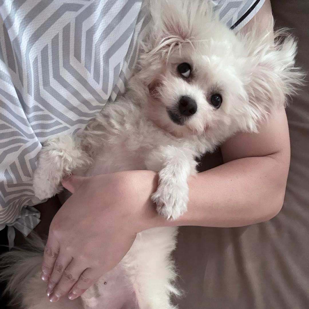 饿了摸