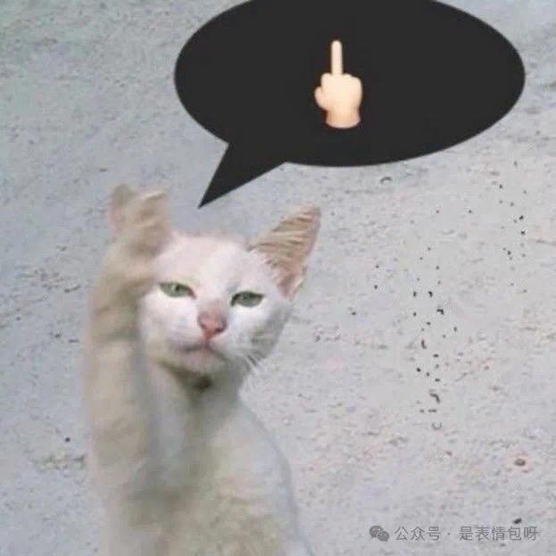 泡泡龙