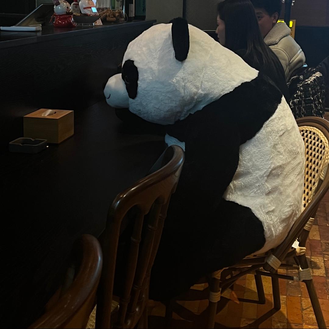 陈不了冠希