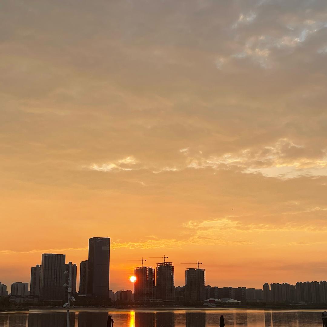 不想当牛马的牛马