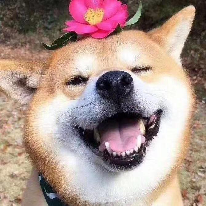粉刷匠