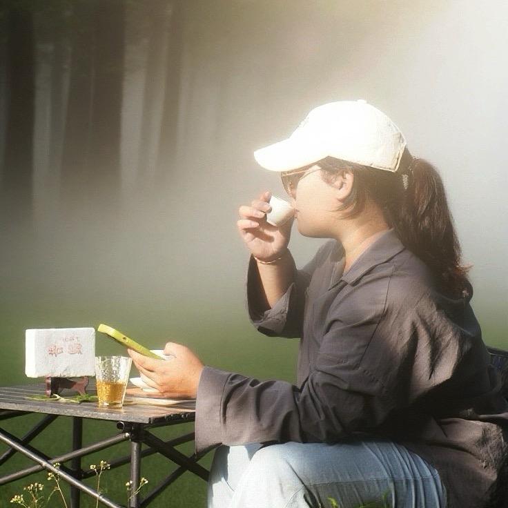 洋芋 -（茶山摸鱼版）