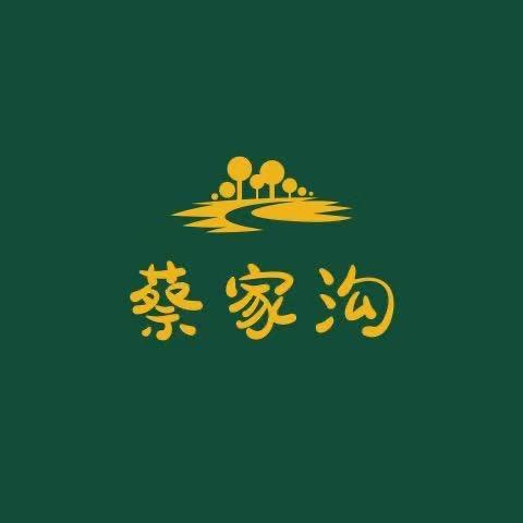 蔡家沟驻村书记