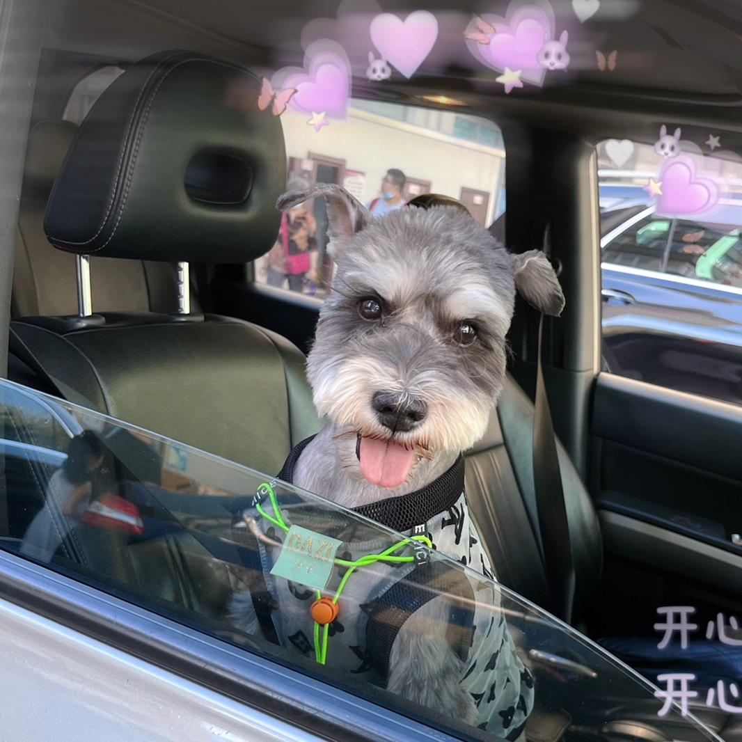 HK水冰月 