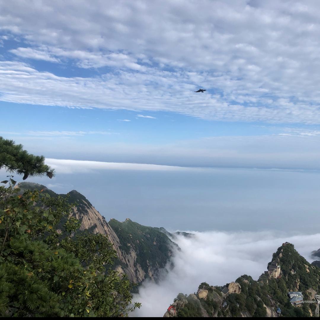 陕西中昌鹰诺系统门窗幕墙P