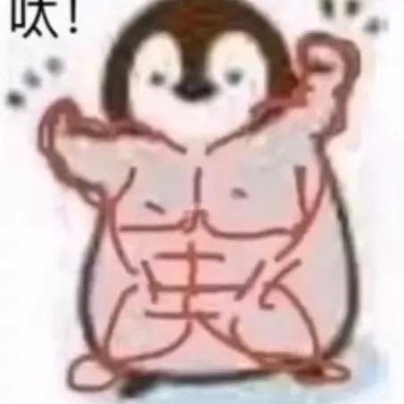 猛男的日常