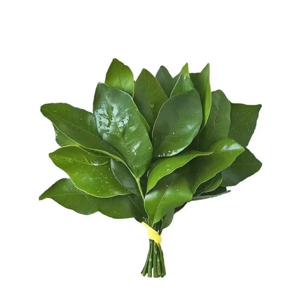 🪷花开富贵~