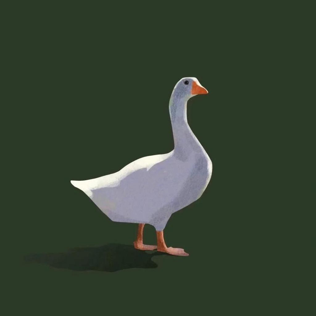 一只大鹅