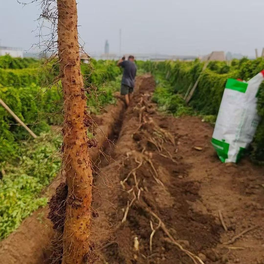 润佳鑫农家鲜品