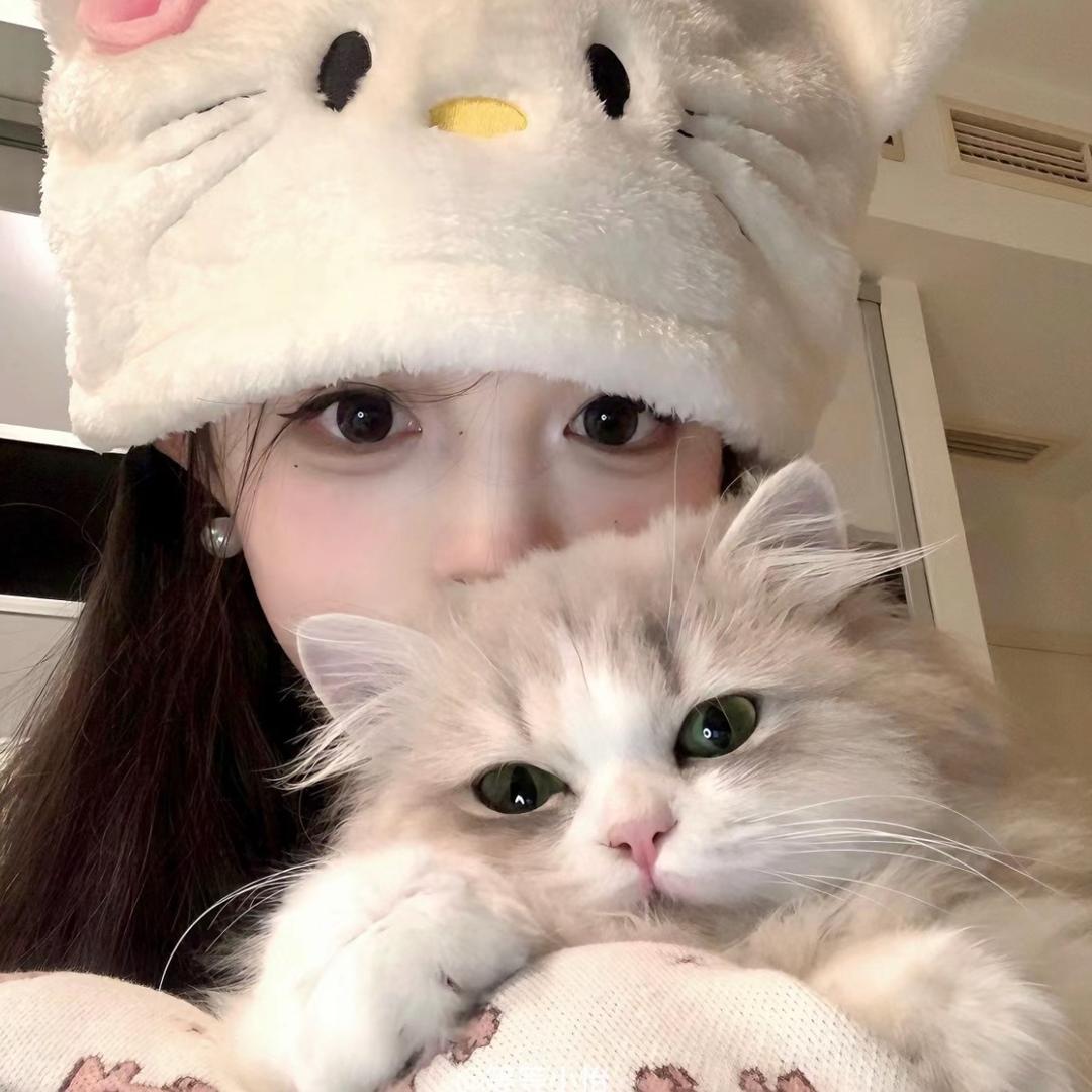 慧