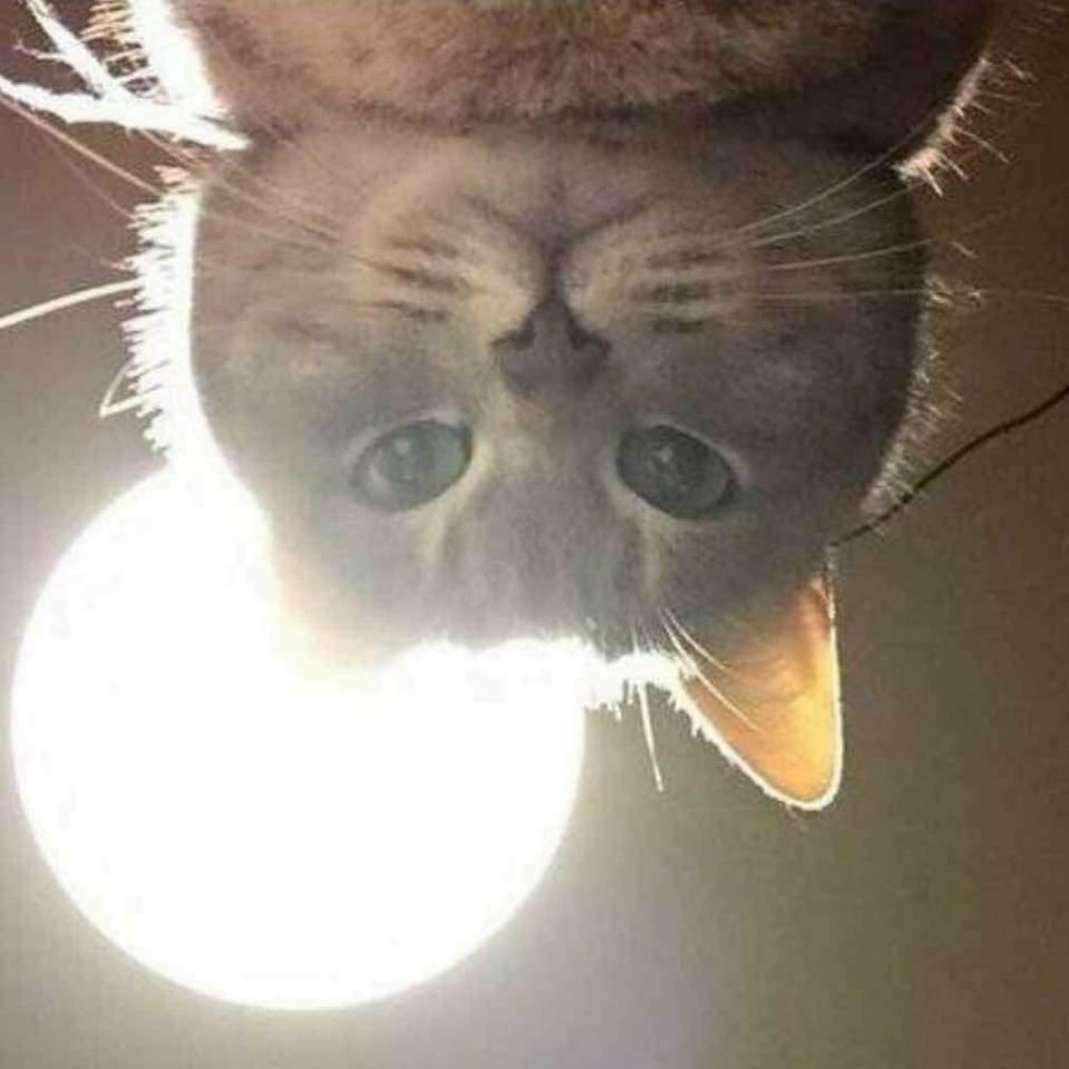 第一页第六页第七页序