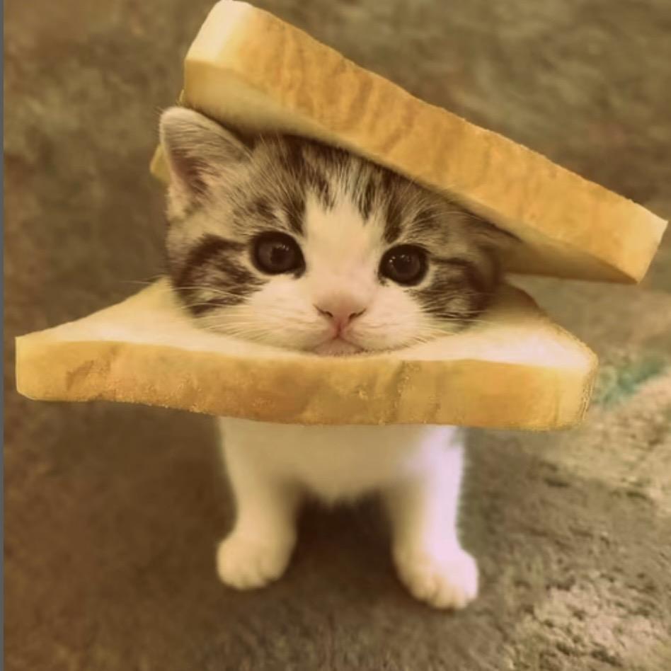 ^优酸茹^
