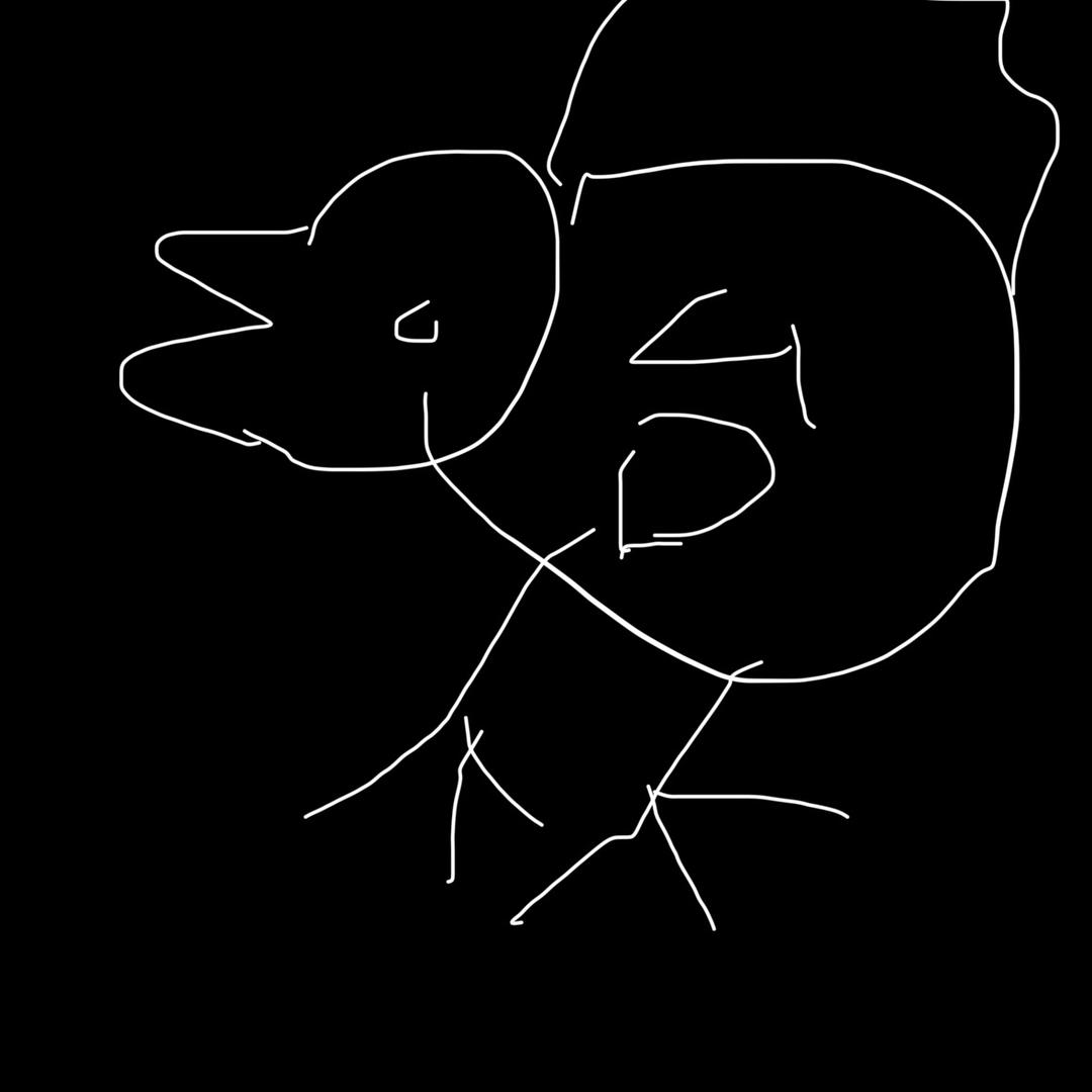 顶鸟🐦