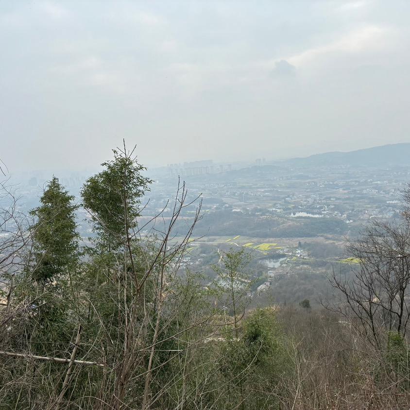 晓
