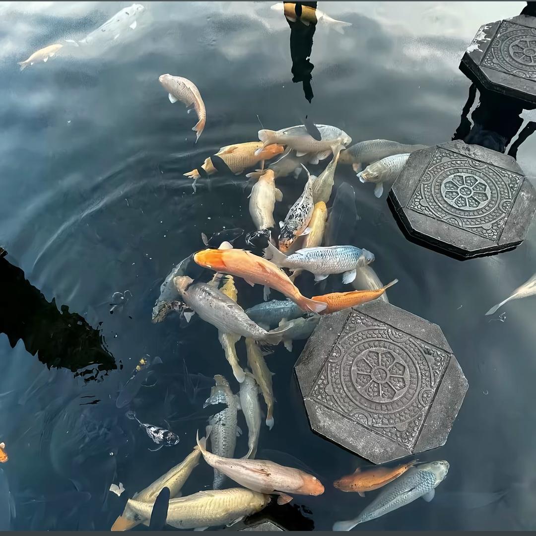 我