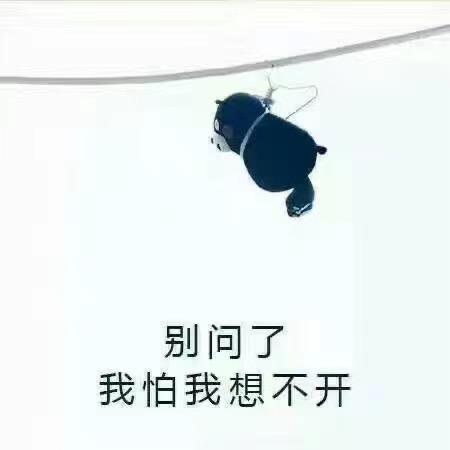 懒洋洋