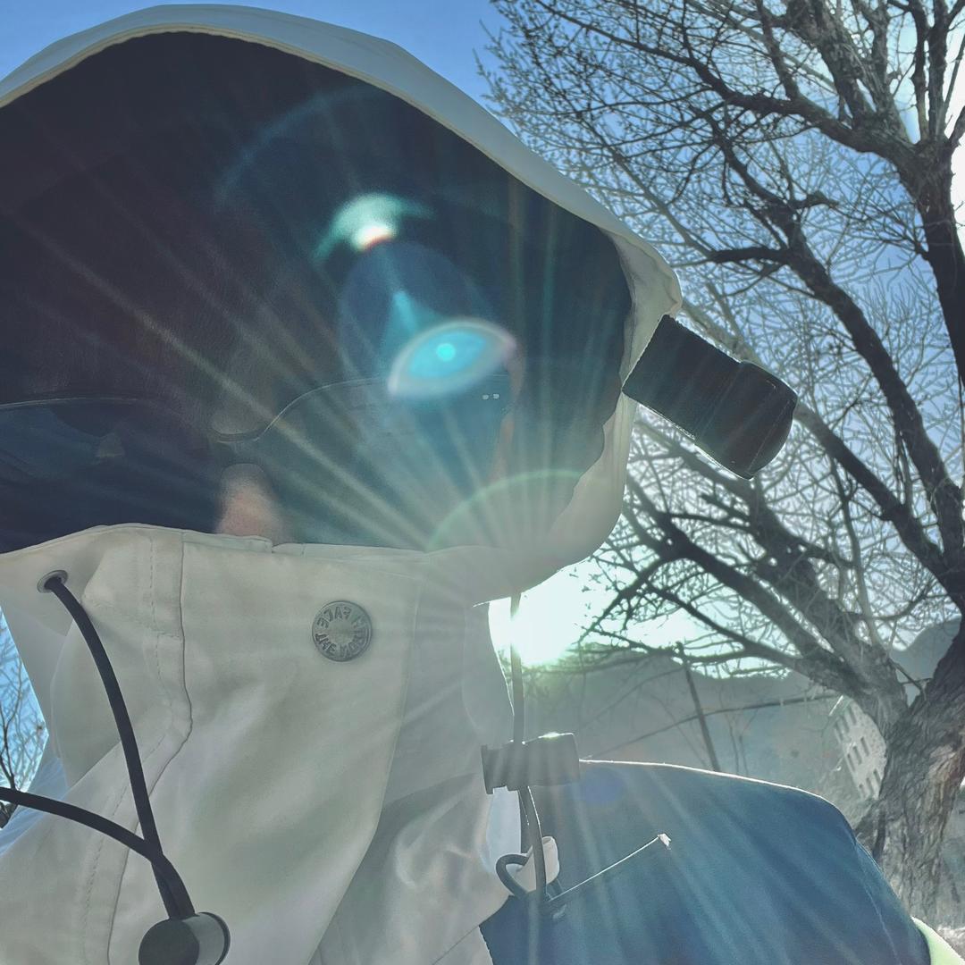 会飞的大贝塔🏸️