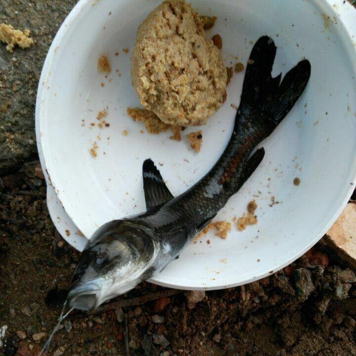 农情谷山庄 装主