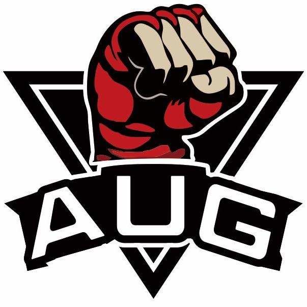 AUG摔柔格斗