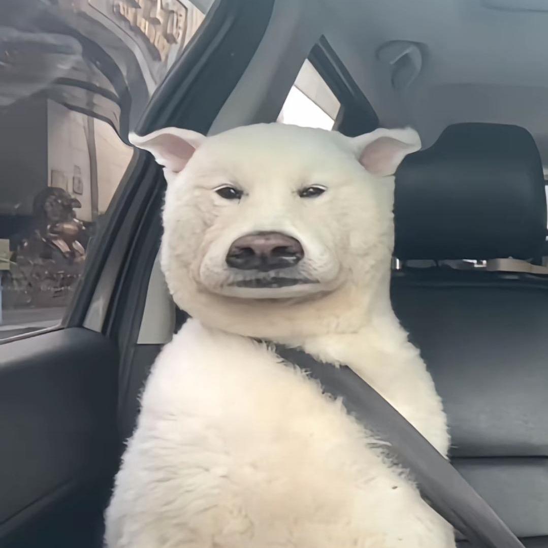 鼻屎戈饭加粒蛋