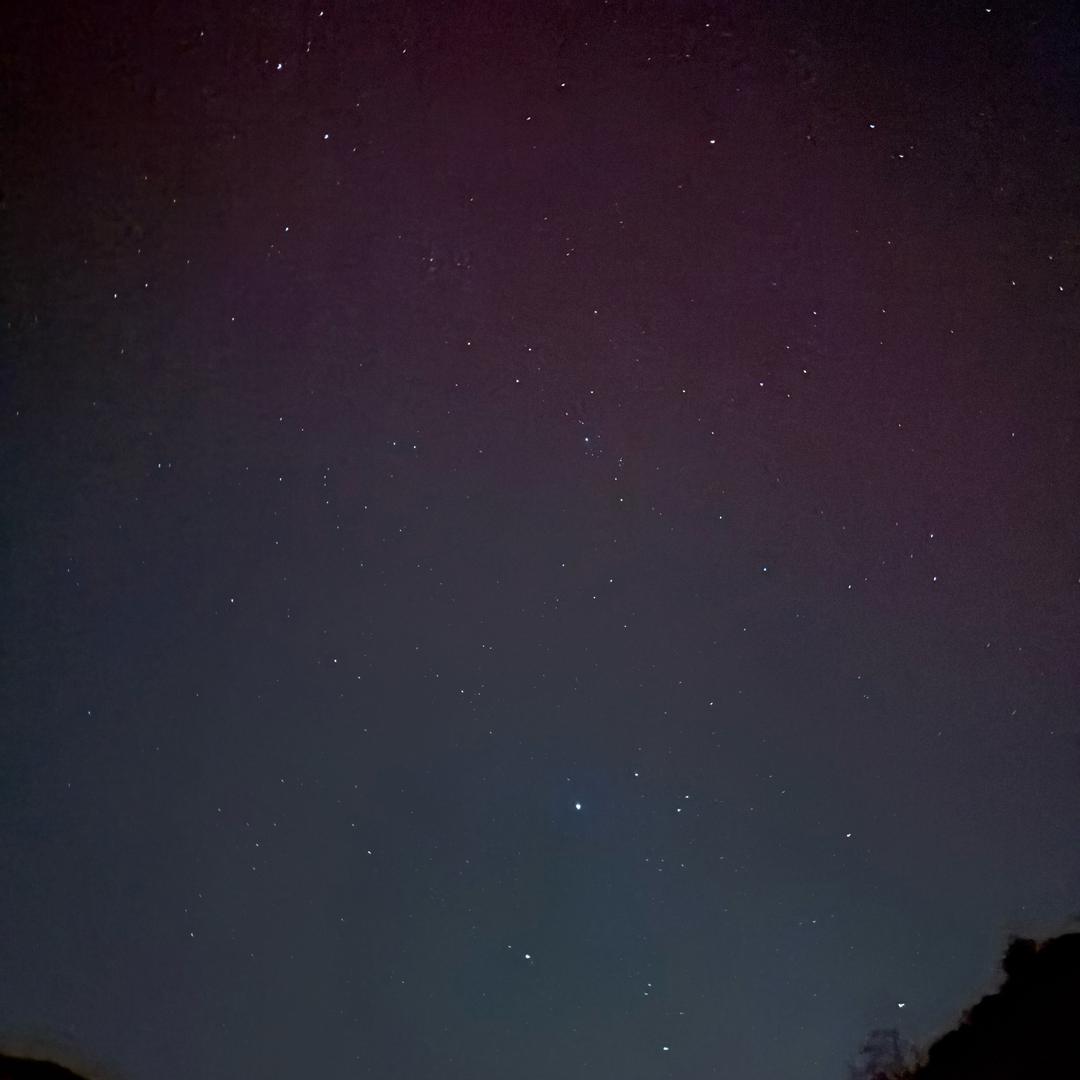 o泡
