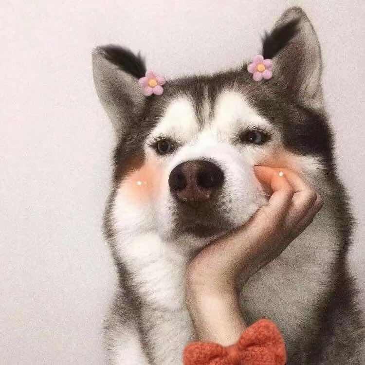 凡凡