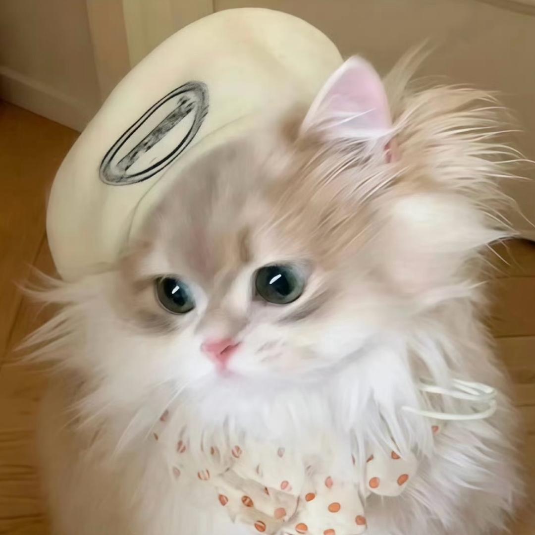 🌈妮宝