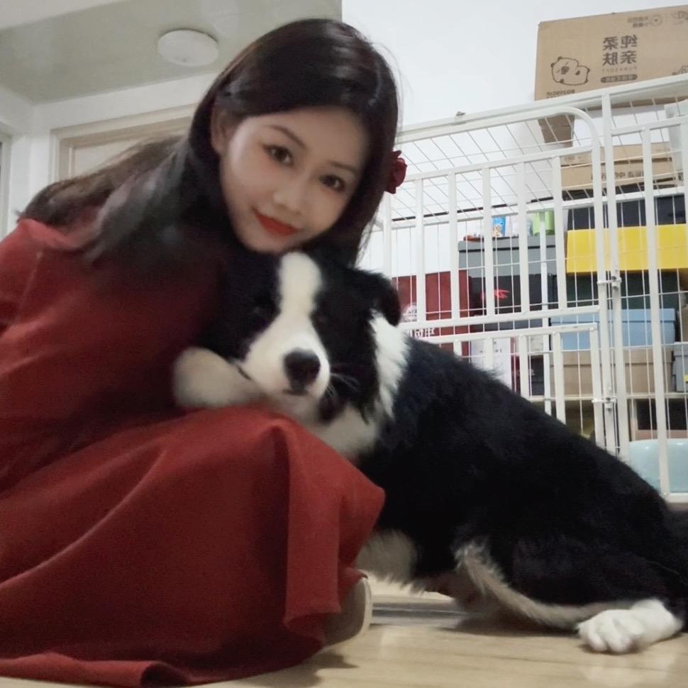 糕冷小美🌙
