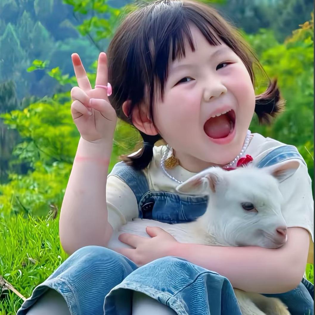 羊驼妹妹（勤奋版)