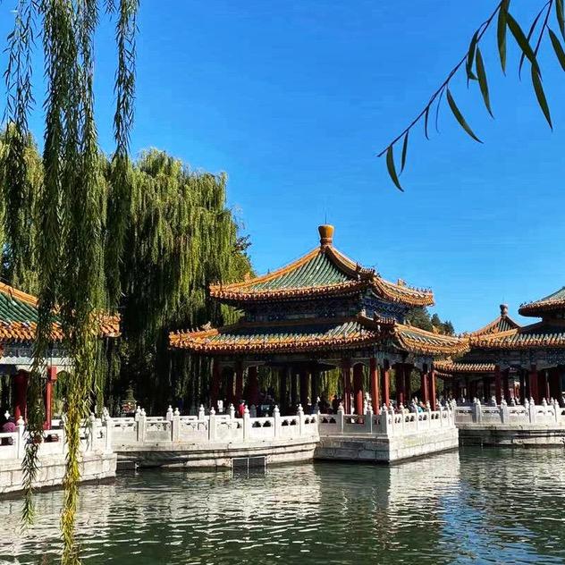 漫步胡同的宸姐