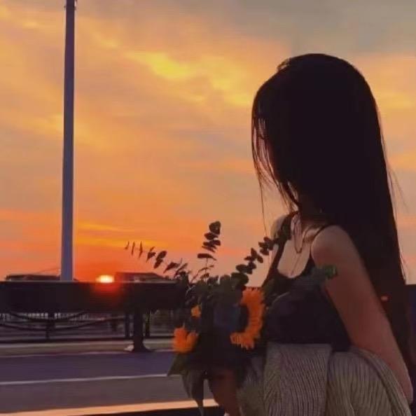 十一✨