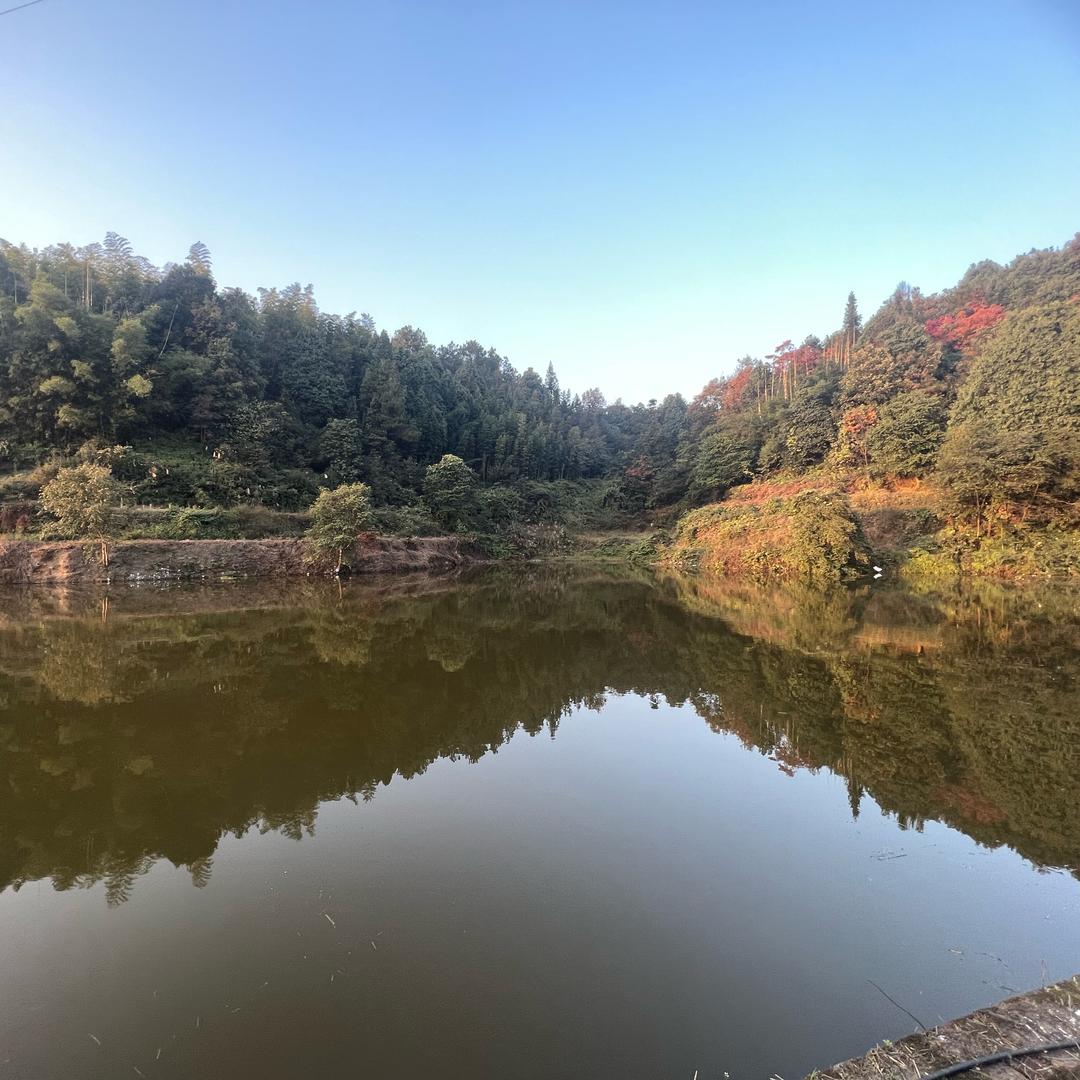 观斗山甩两杆垂钓基地