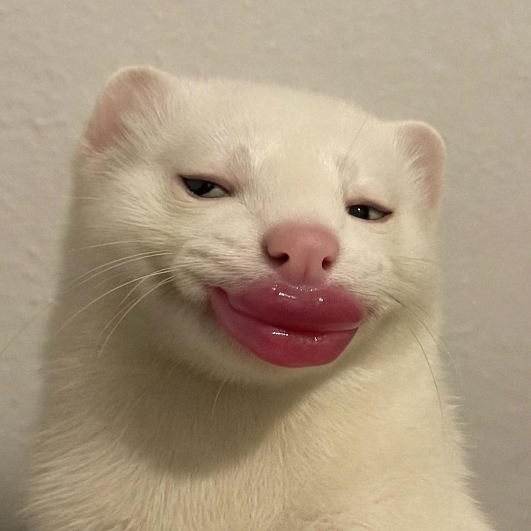 没有烦恼