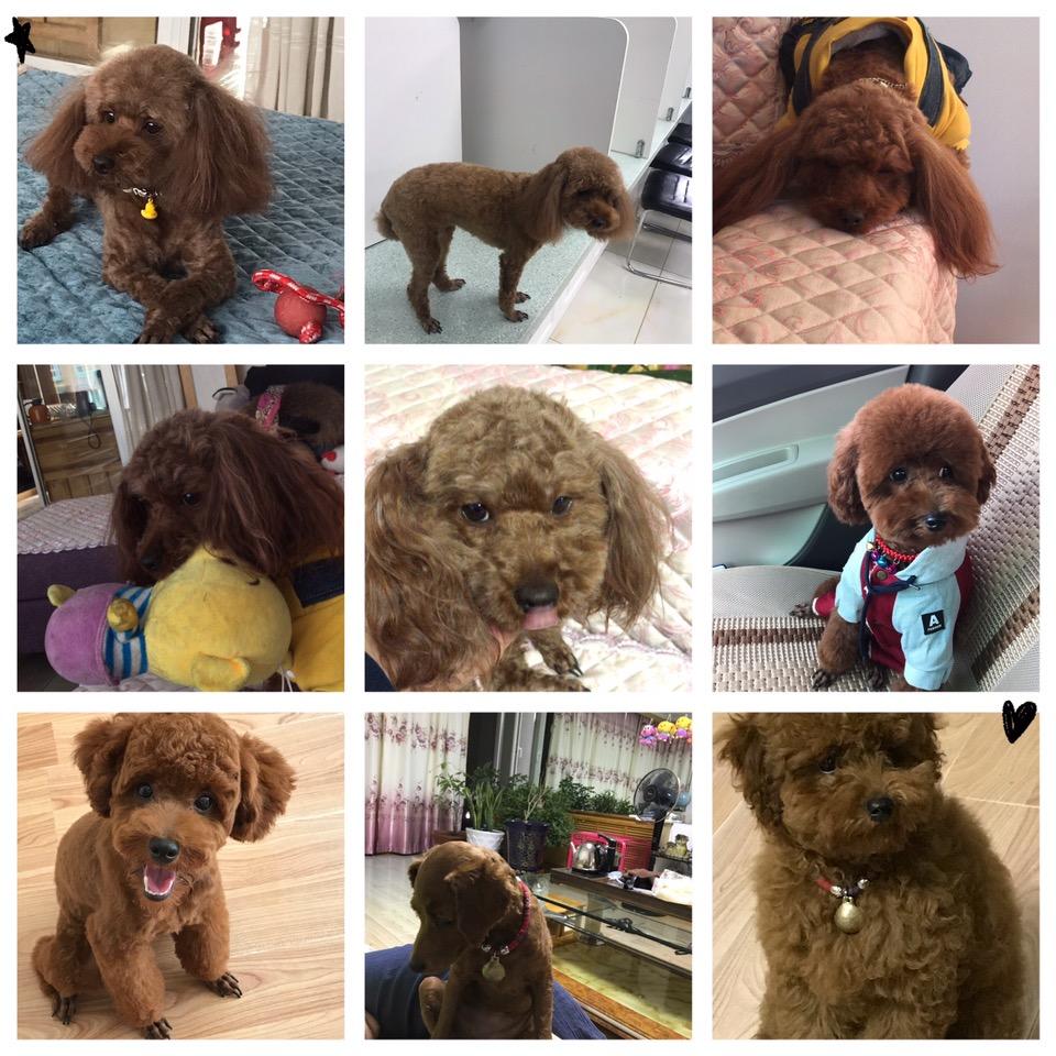 一吕阳光九万里💗