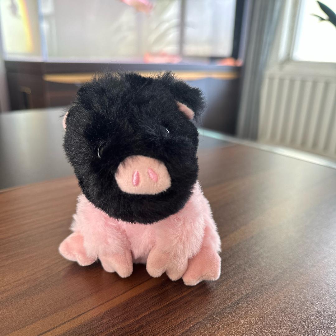 谁的猪猪吖🐷🐷