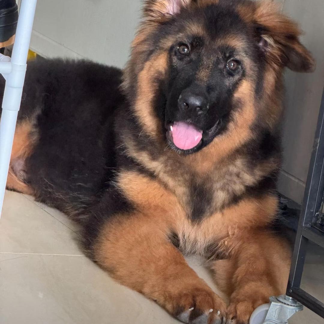 哈哈哈哈哈哈😂