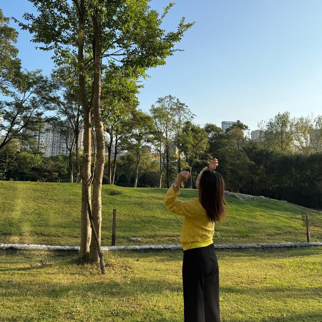 李李李李李
