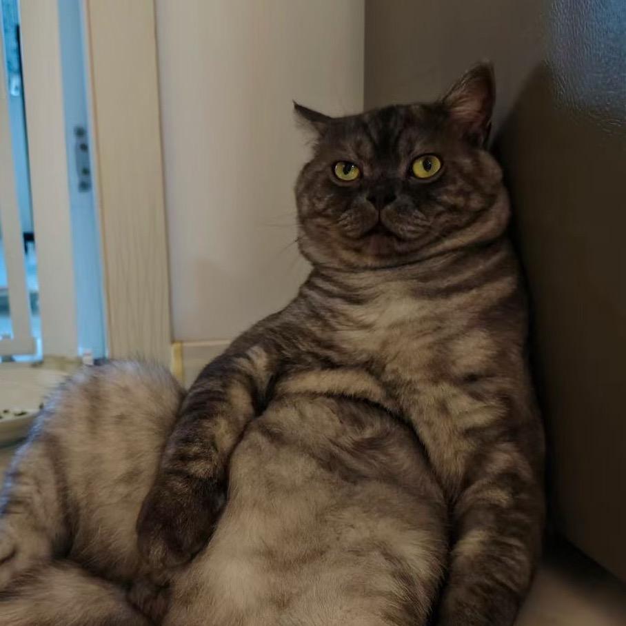 生而