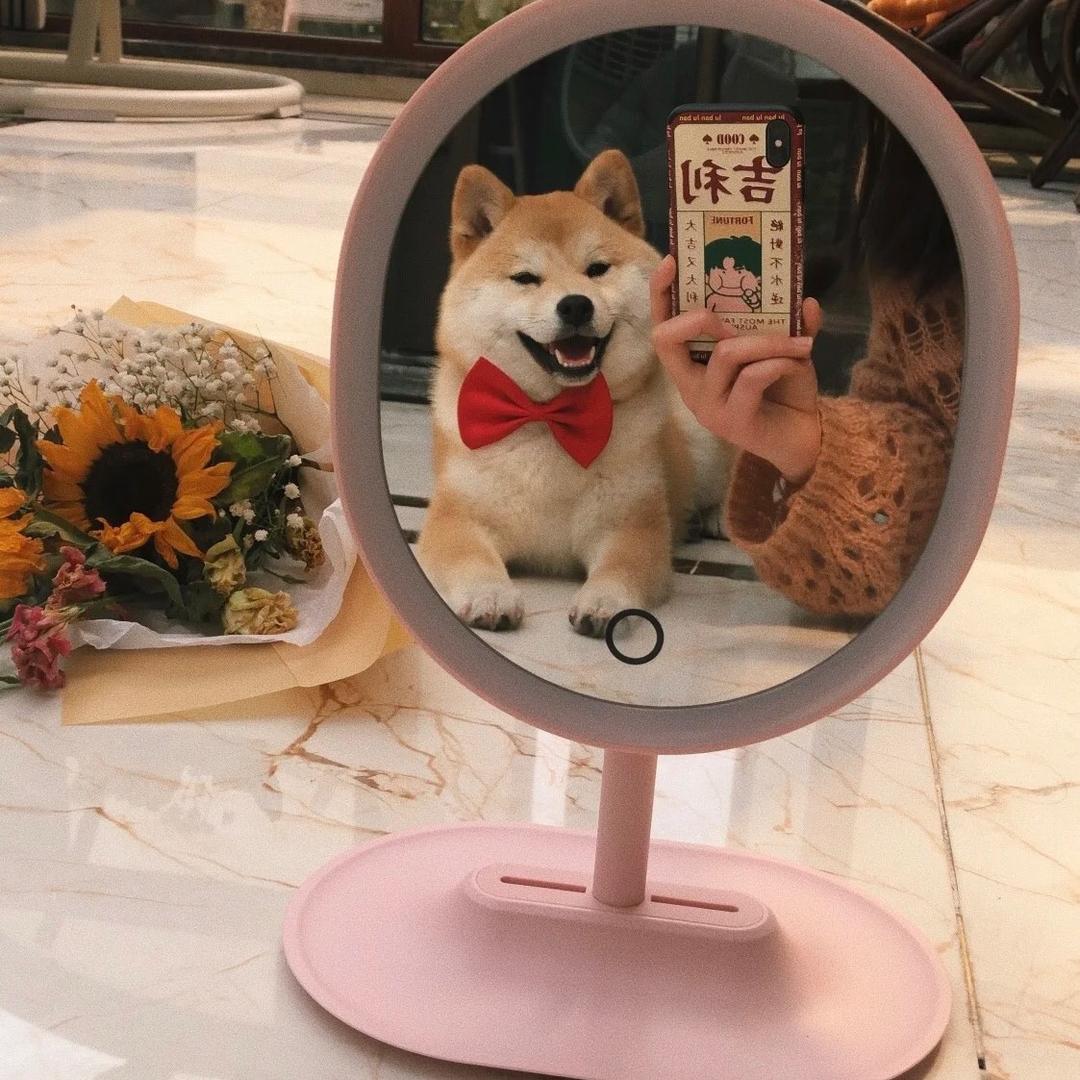 上进