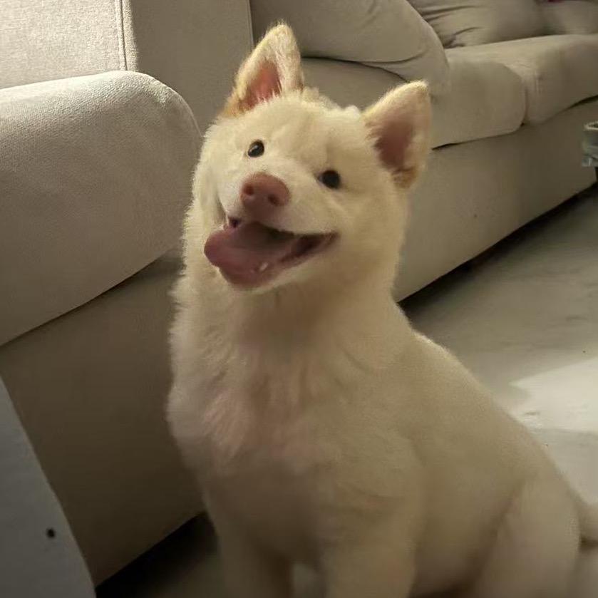 ੯‧̀͡⬮\来财成长记