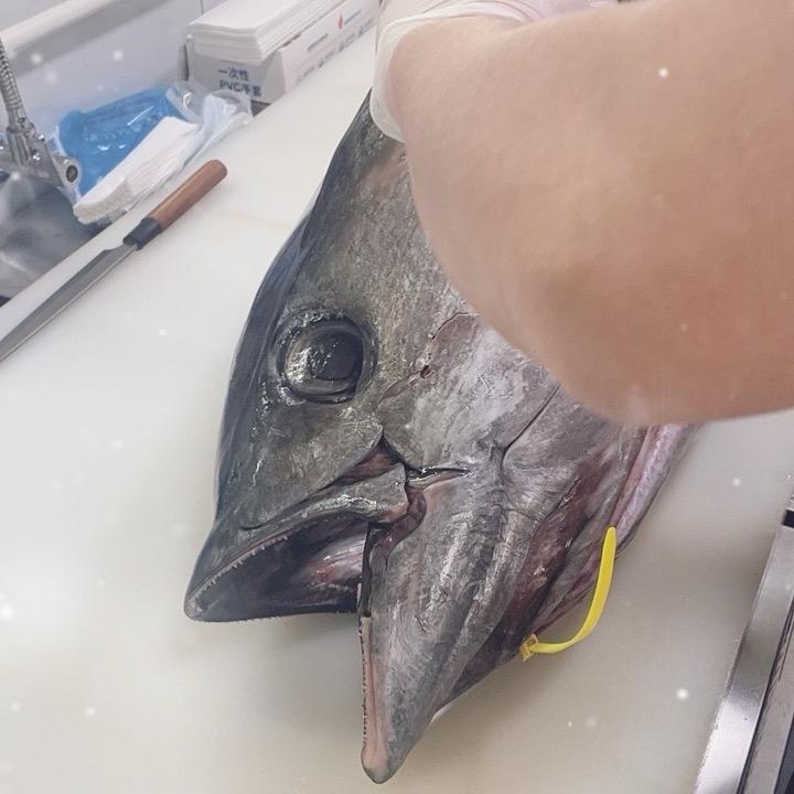 普通同学
