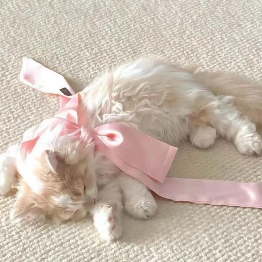 薄想荷你说话了