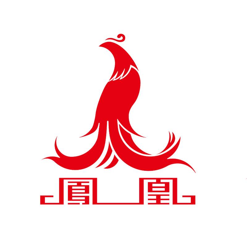 凤凰初光电动车专卖店