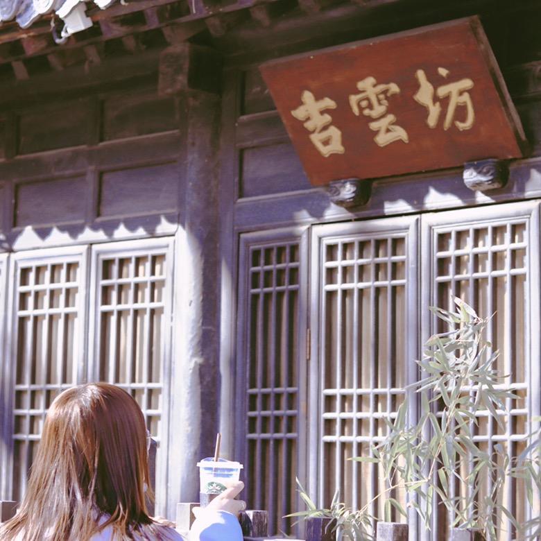 深秋嫩绿的垂柳