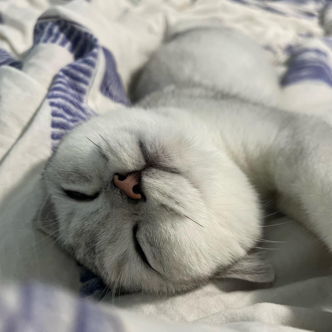 毓秀呀