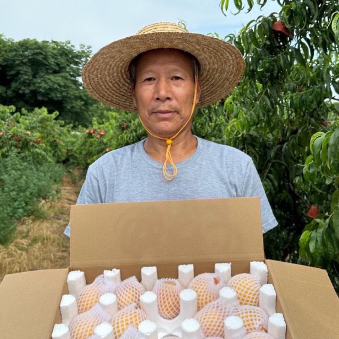 果然不错