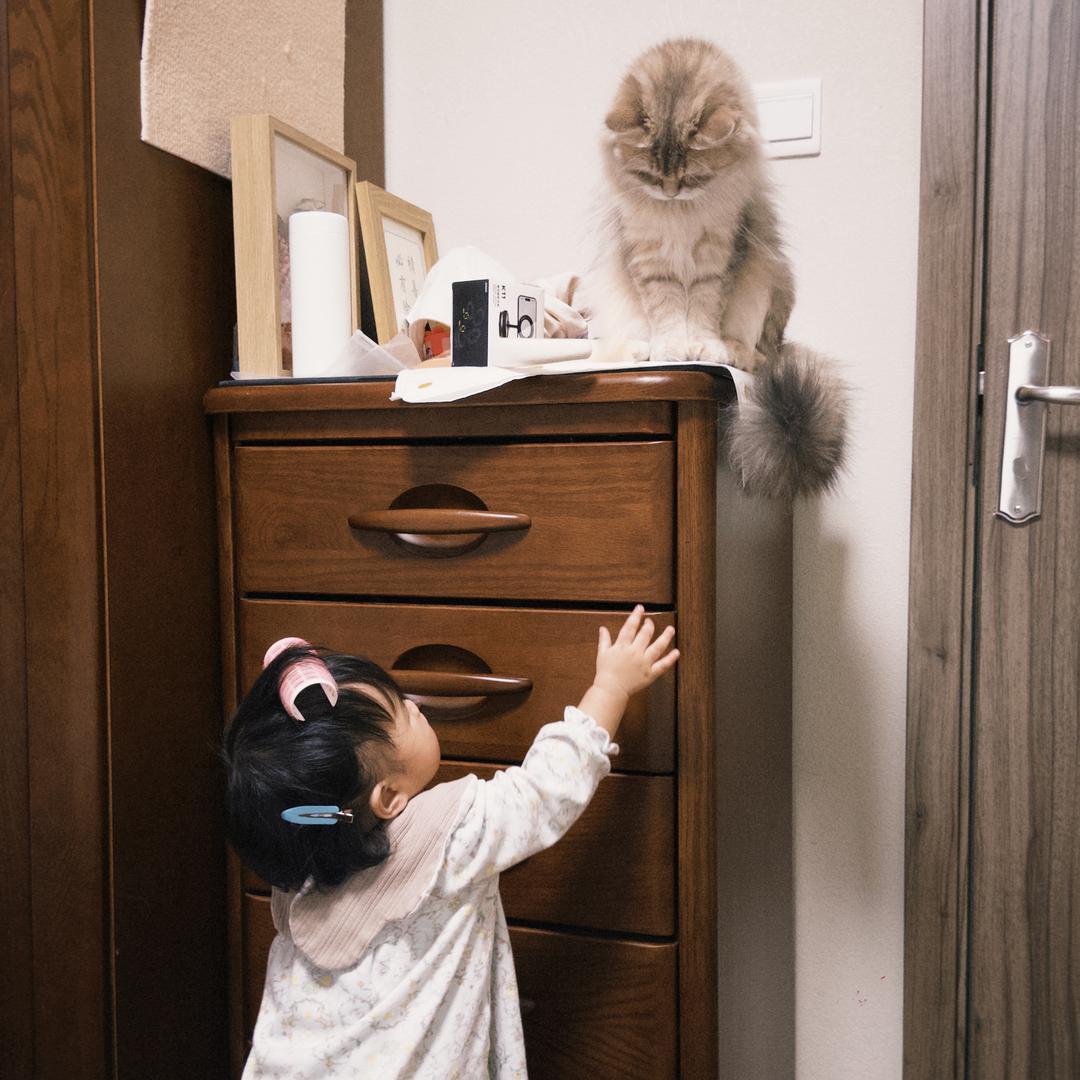 风起时.