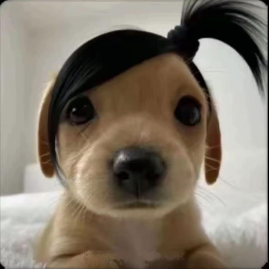 甜菜花