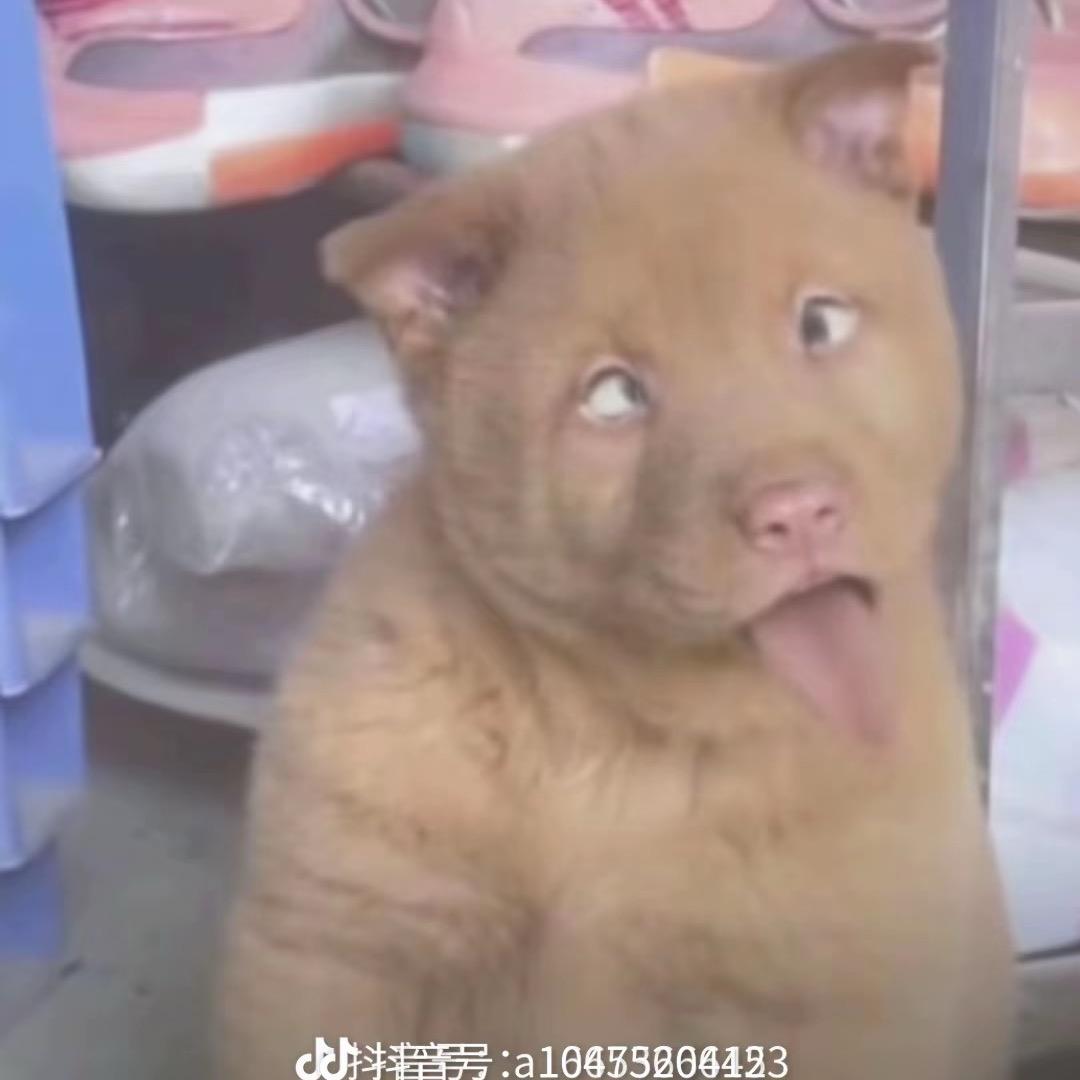 迷宫的十字路口