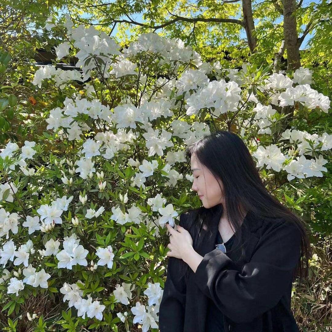 落笔为霁月